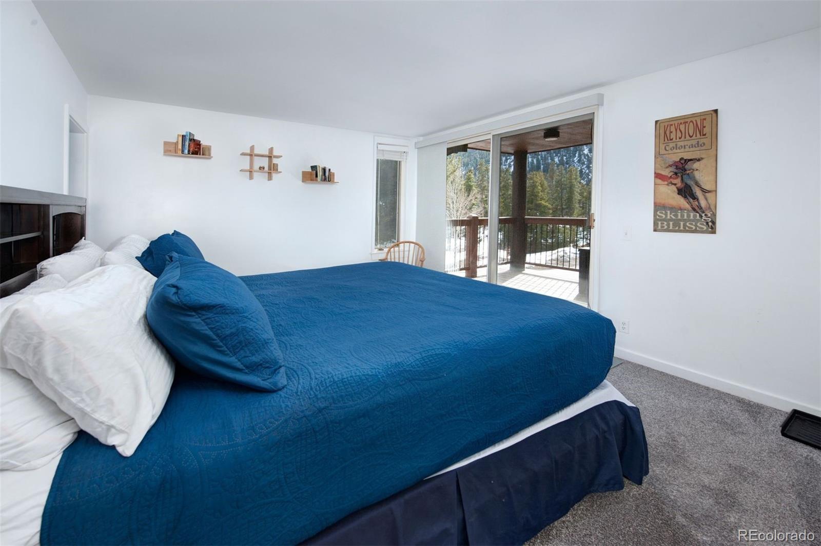 MLS Image #17 for 352  wild irishman road,keystone, Colorado