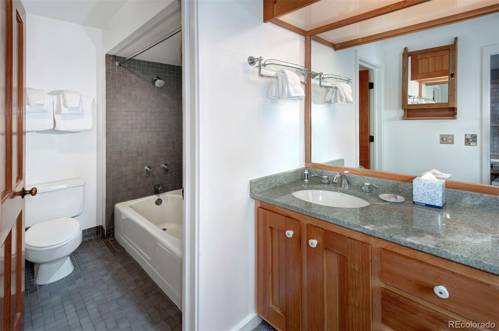 MLS Image #25 for 352  wild irishman road,keystone, Colorado
