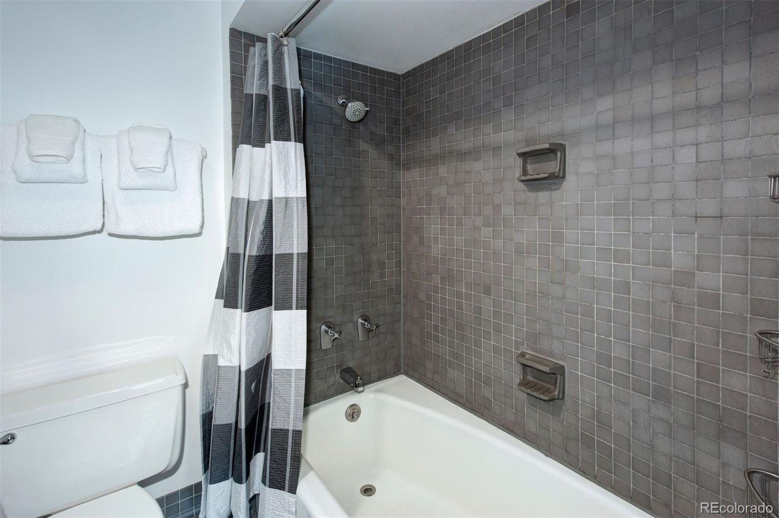 MLS Image #26 for 352  wild irishman road,keystone, Colorado