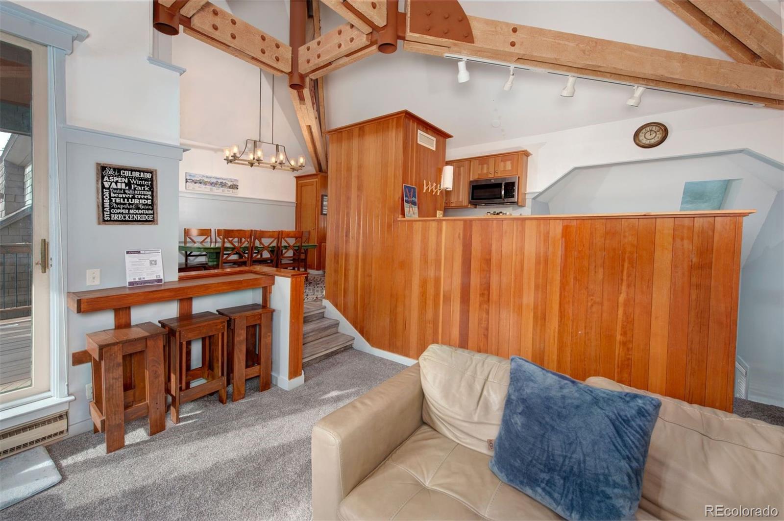 MLS Image #3 for 352  wild irishman road,keystone, Colorado