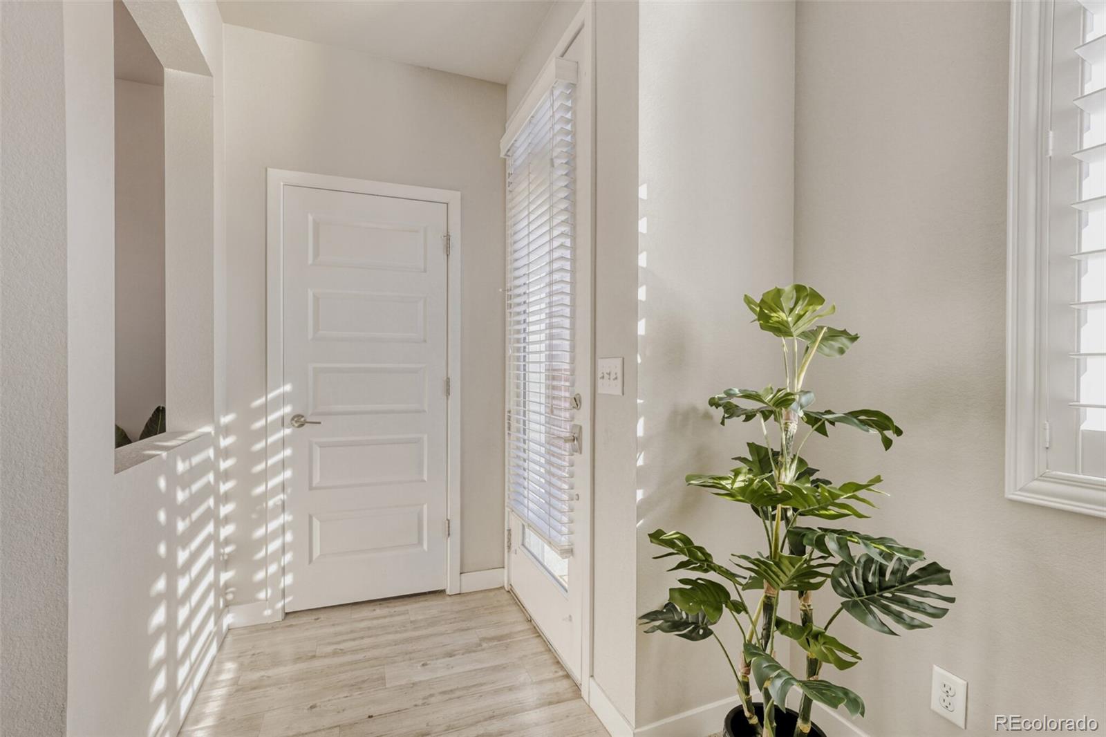 MLS Image #6 for 6639  raritan drive,denver, Colorado