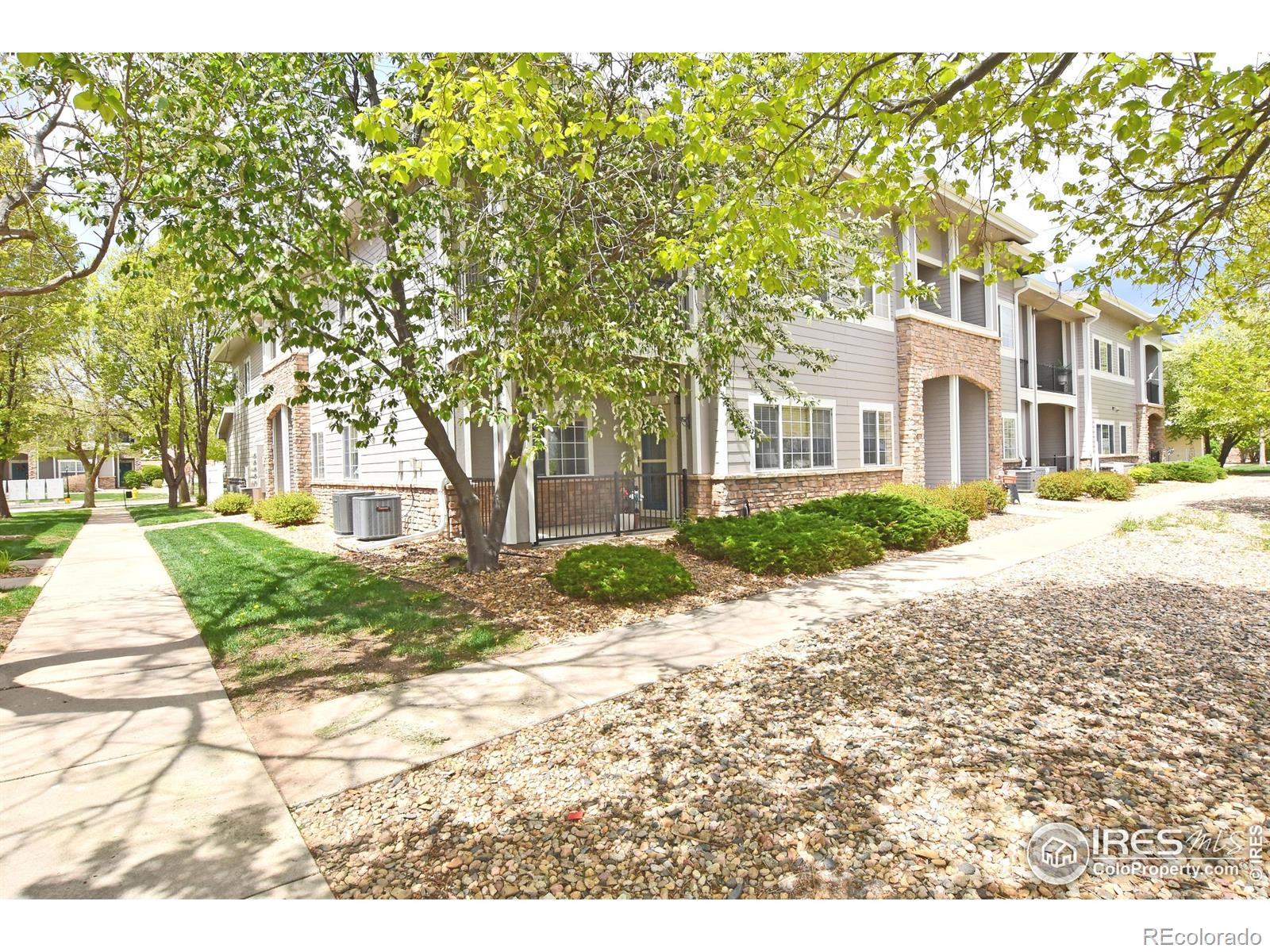 MLS Image #1 for 5014  northern lights drive,fort collins, Colorado