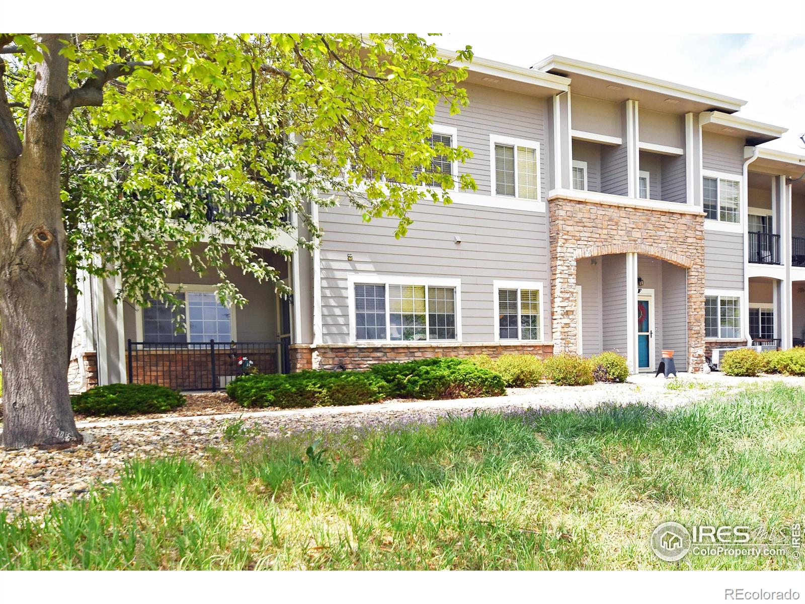 MLS Image #2 for 5014  northern lights drive,fort collins, Colorado