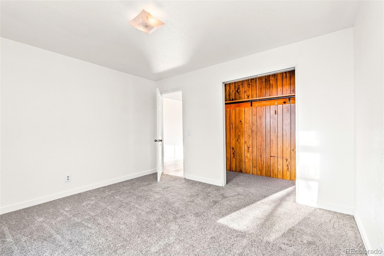 MLS Image #5 for 6743  king street,denver, Colorado
