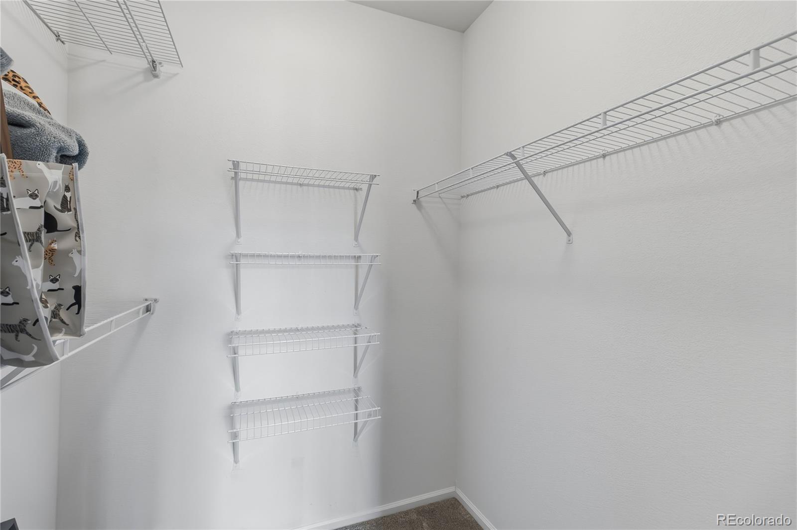 MLS Image #19 for 17525  wilde avenue,parker, Colorado