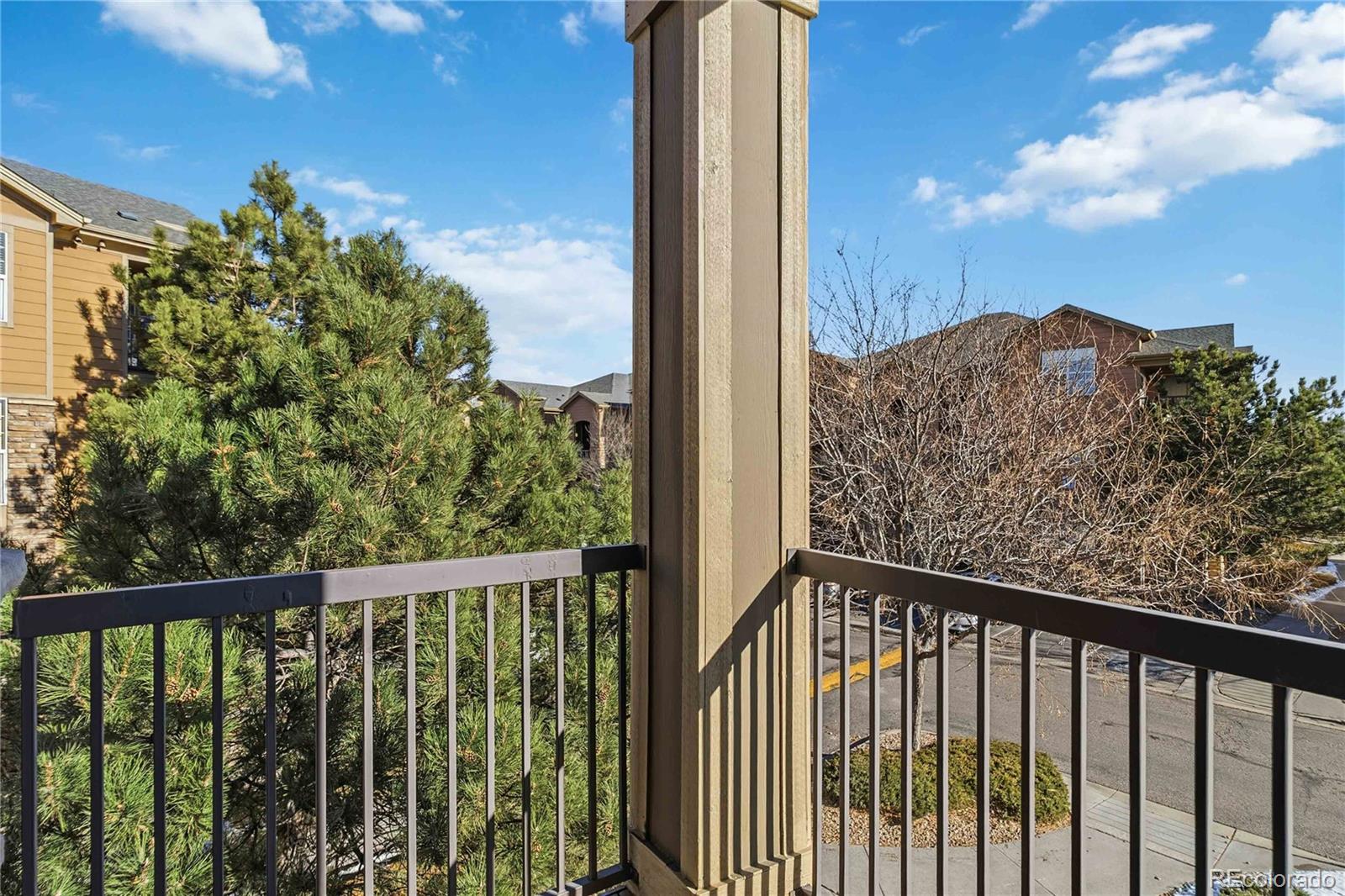 MLS Image #31 for 17525  wilde avenue,parker, Colorado