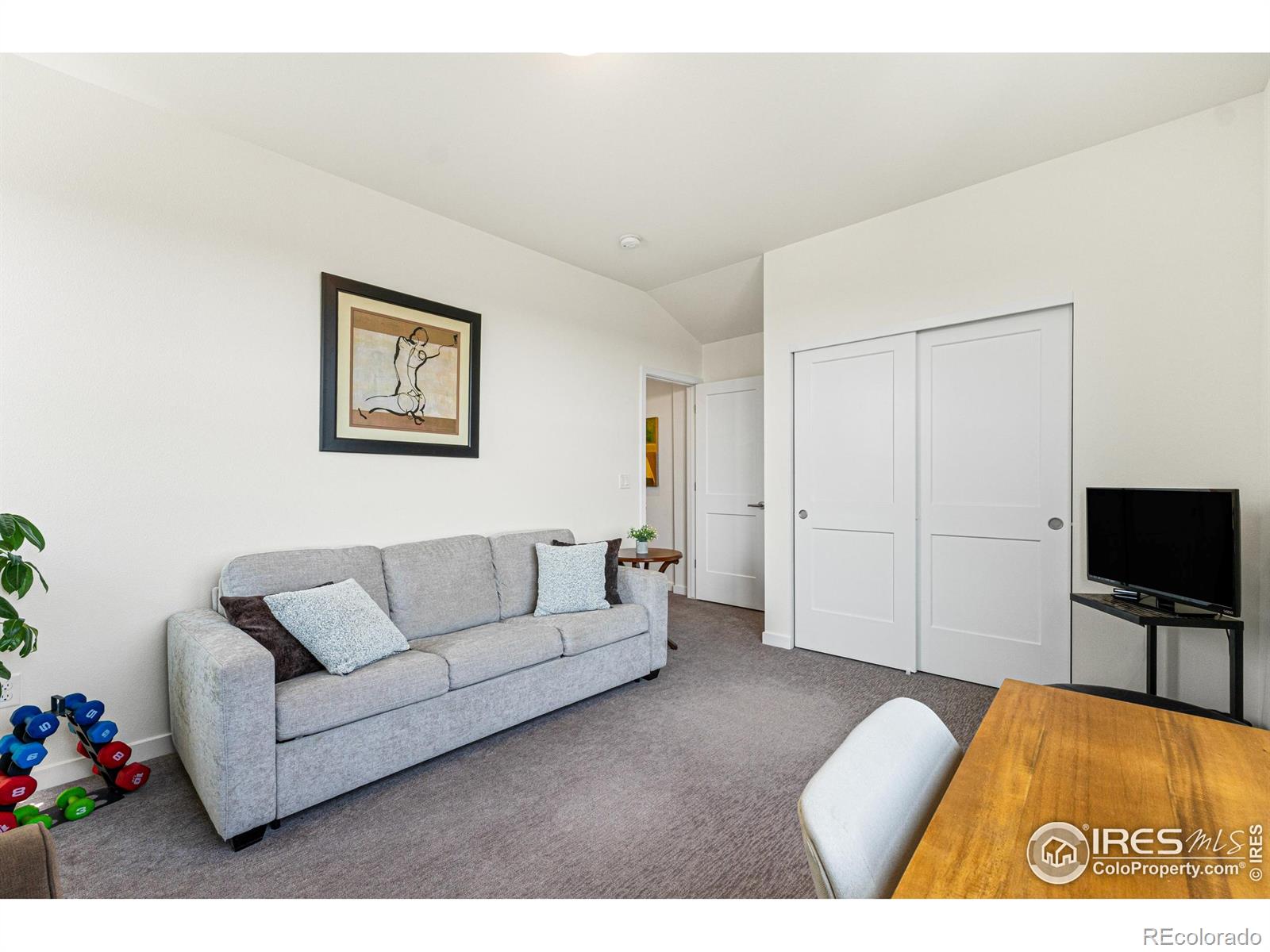 MLS Image #15 for 3437  green lake drive,fort collins, Colorado