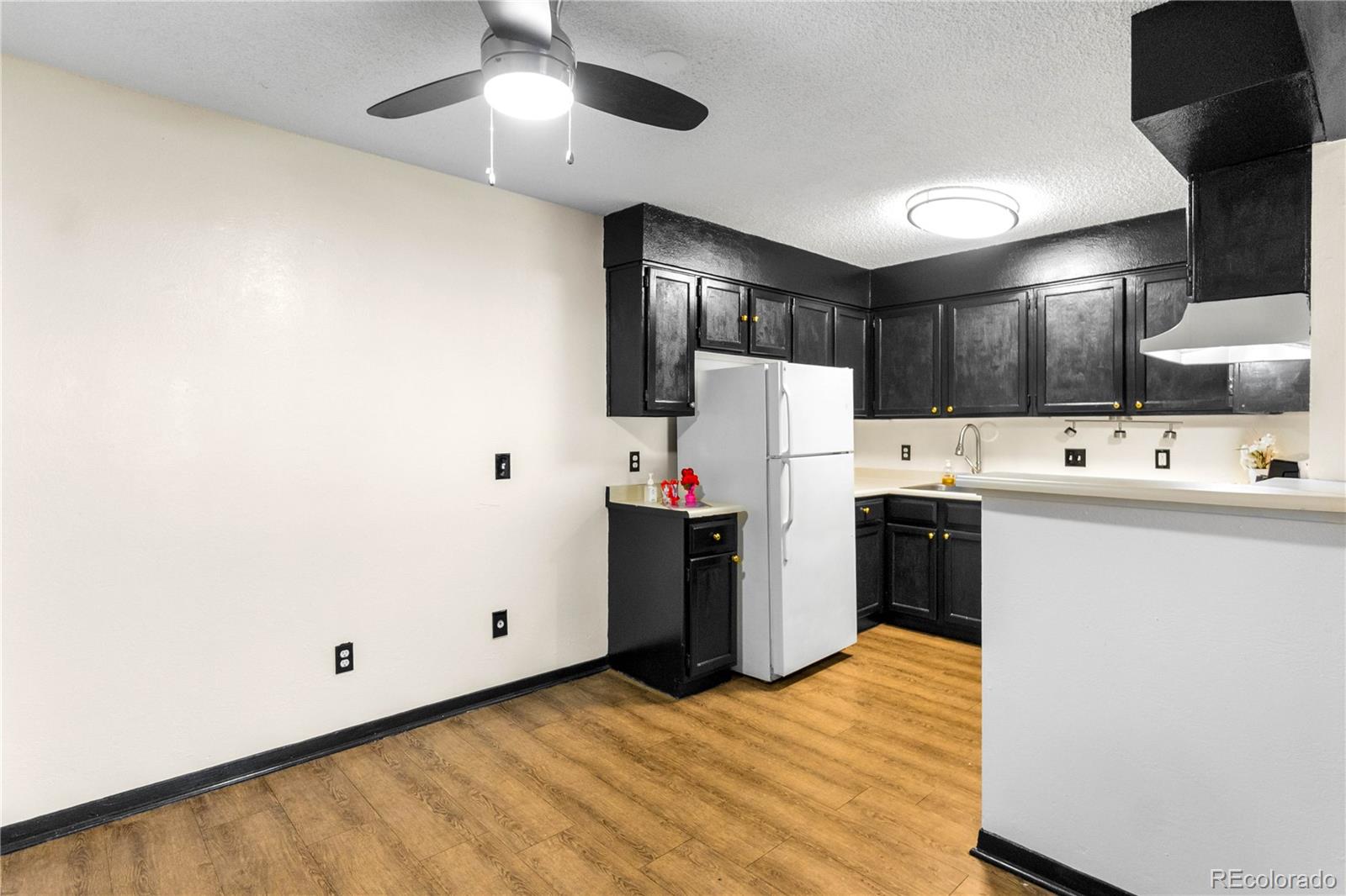 MLS Image #7 for 3344 s ammons street,lakewood, Colorado