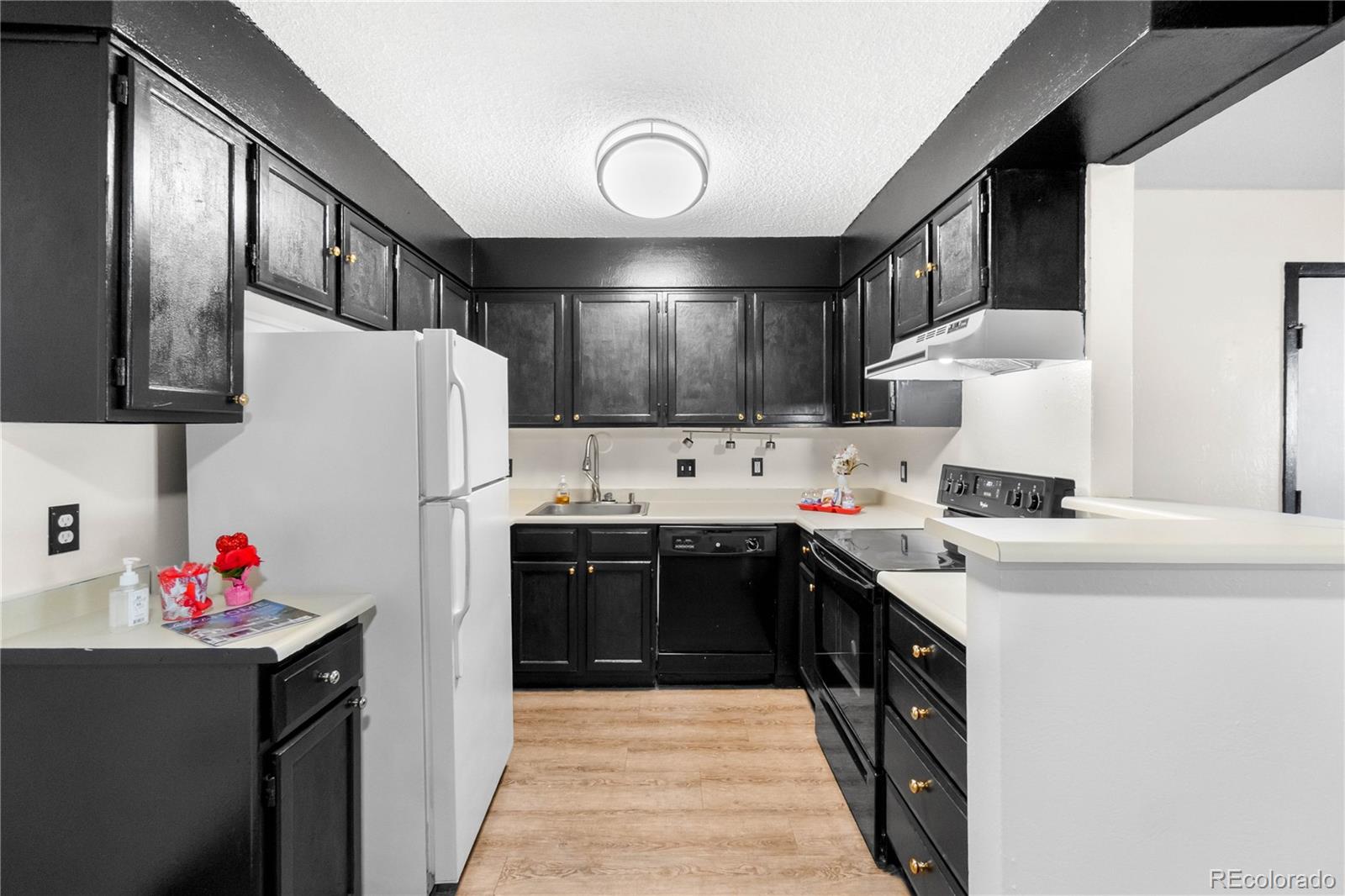 MLS Image #9 for 3344 s ammons street,lakewood, Colorado