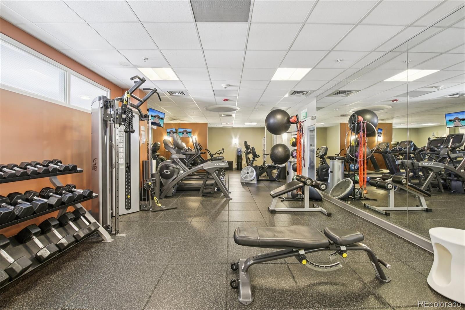 MLS Image #43 for 410  acoma street 206,denver, Colorado