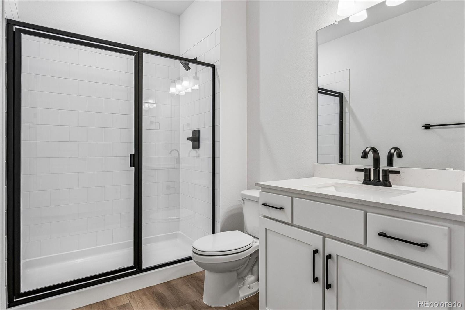 MLS Image #17 for 16121  amaryllis avenue,parker, Colorado