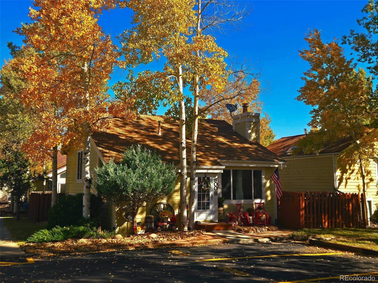 MLS Image #1 for 800  columbine village drive,woodland park, Colorado