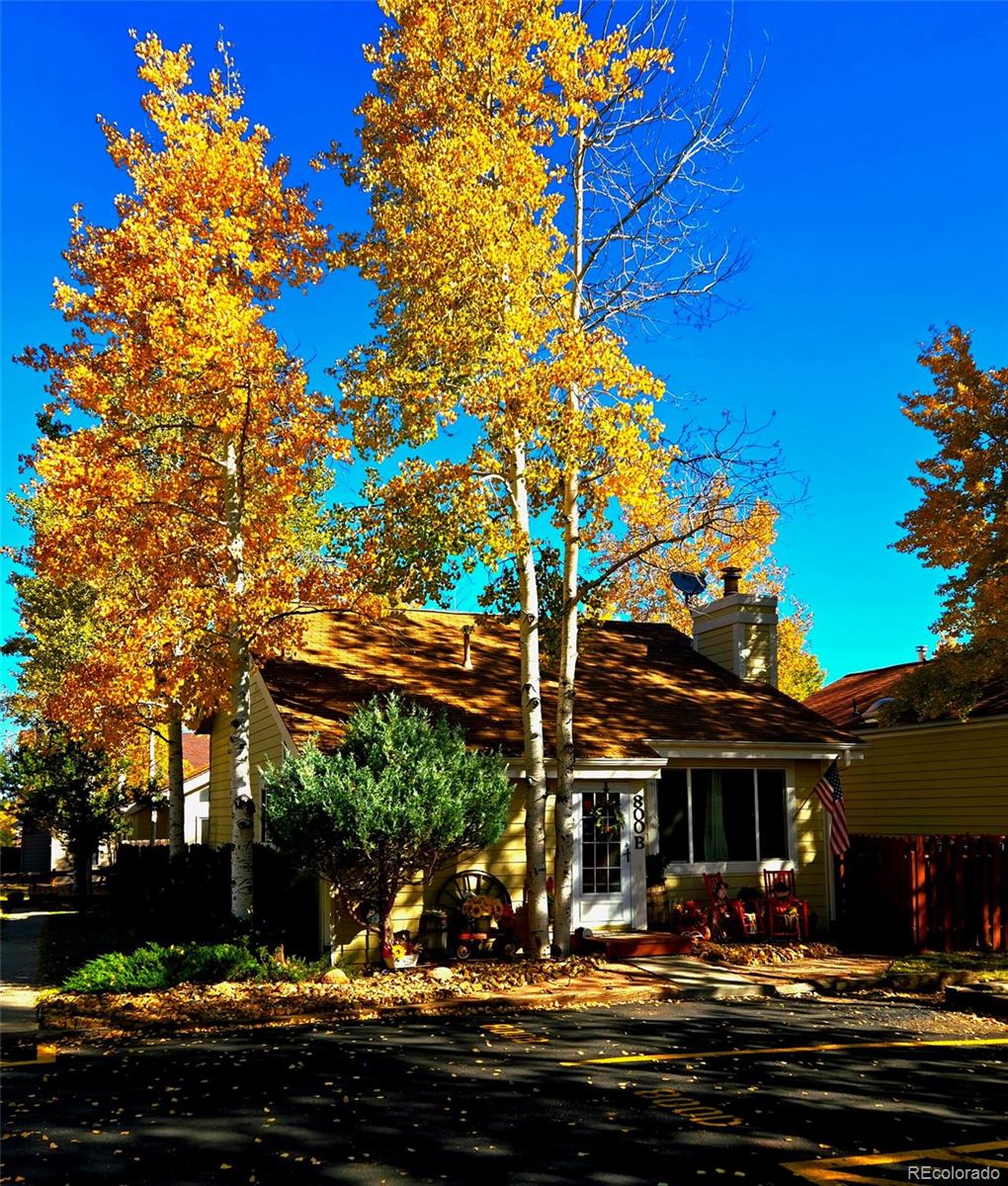 MLS Image #3 for 800  columbine village drive,woodland park, Colorado
