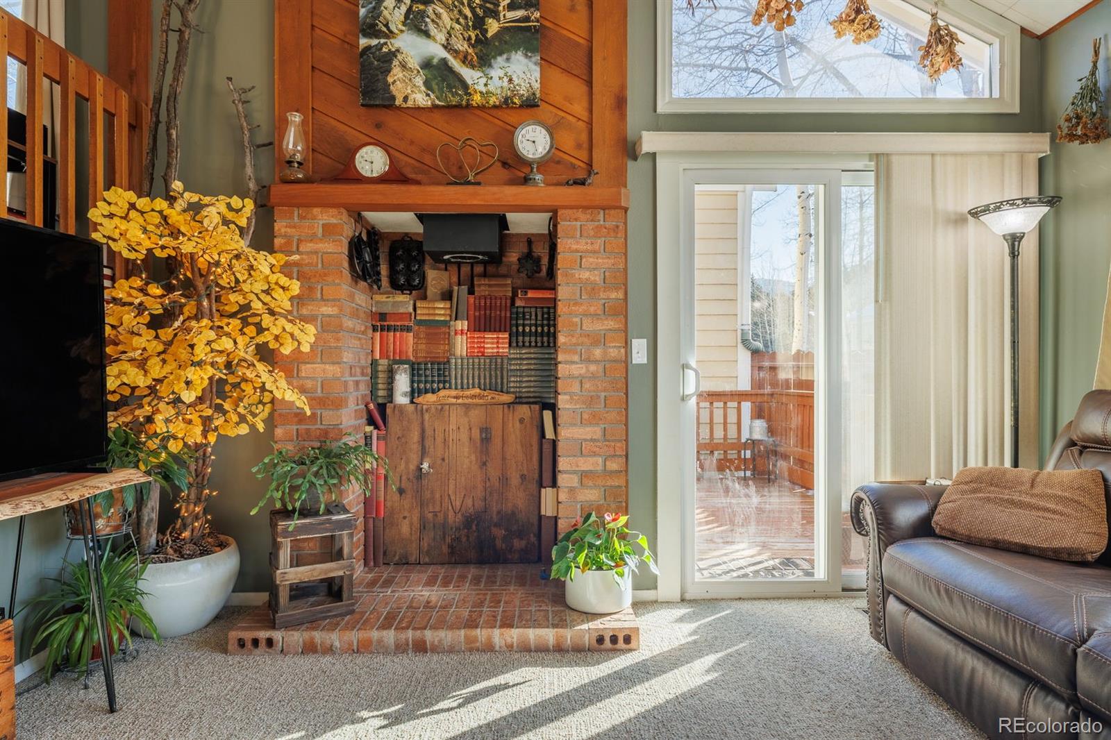 MLS Image #8 for 800  columbine village drive,woodland park, Colorado