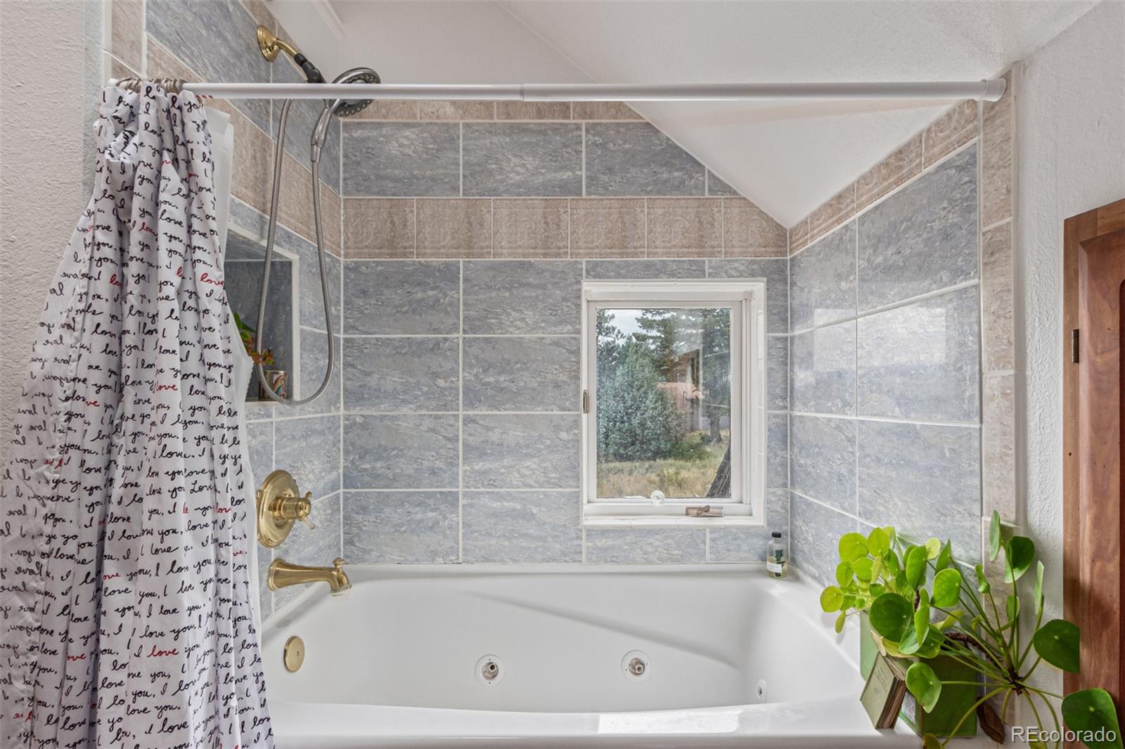 MLS Image #26 for 215  lakeshore park road,boulder, Colorado