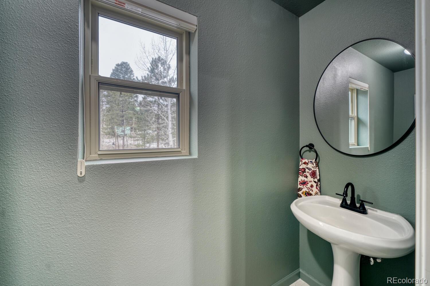 MLS Image #14 for 30642  buck brush ,buena vista, Colorado