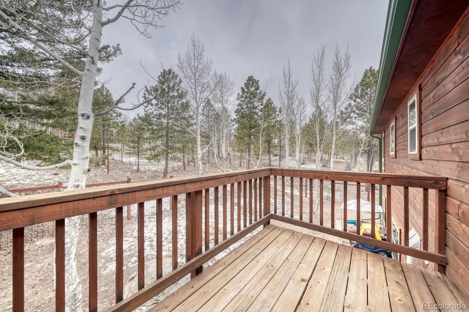MLS Image #22 for 30642  buck brush ,buena vista, Colorado
