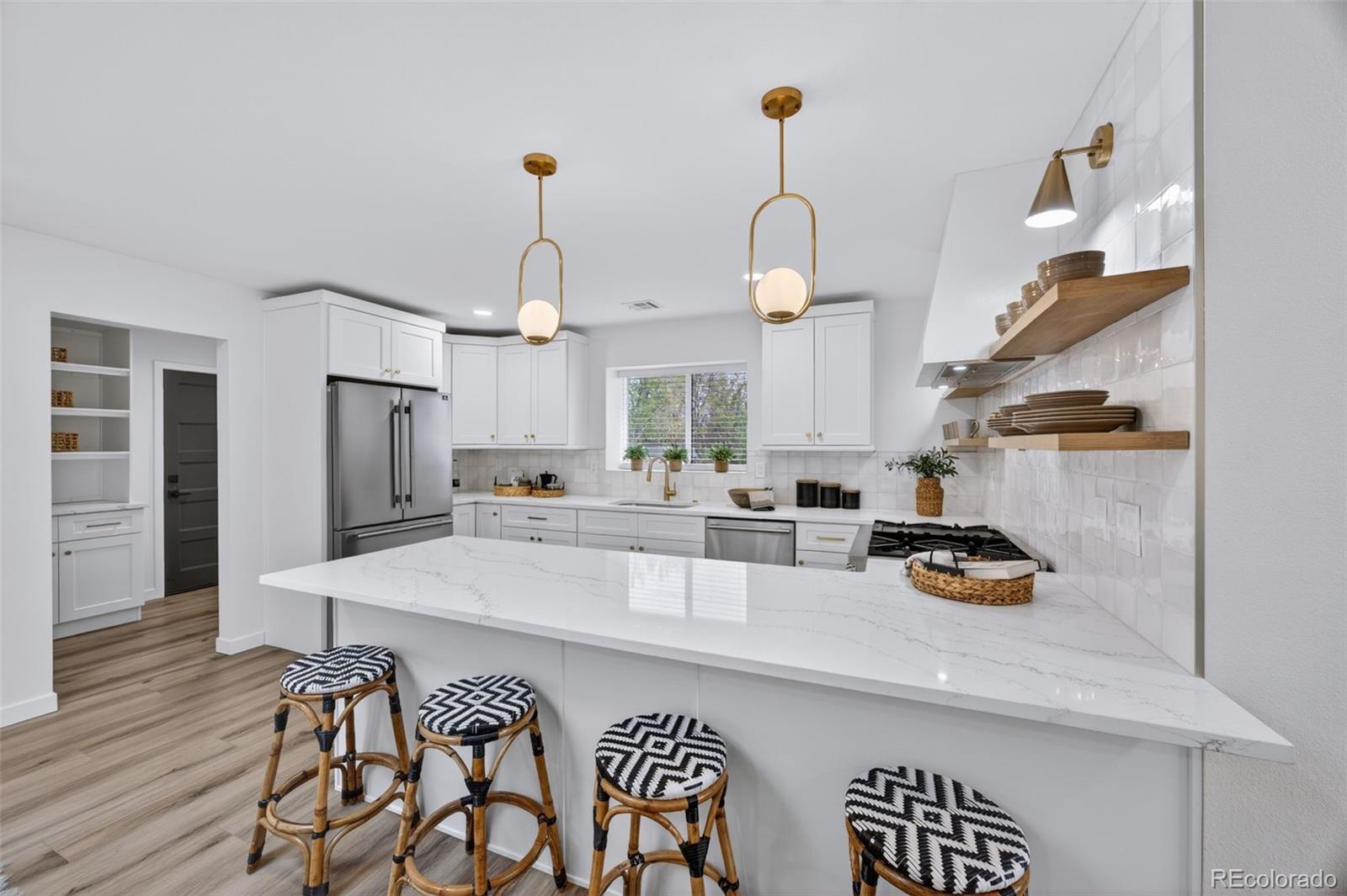 MLS Image #8 for 3005 s race street,denver, Colorado