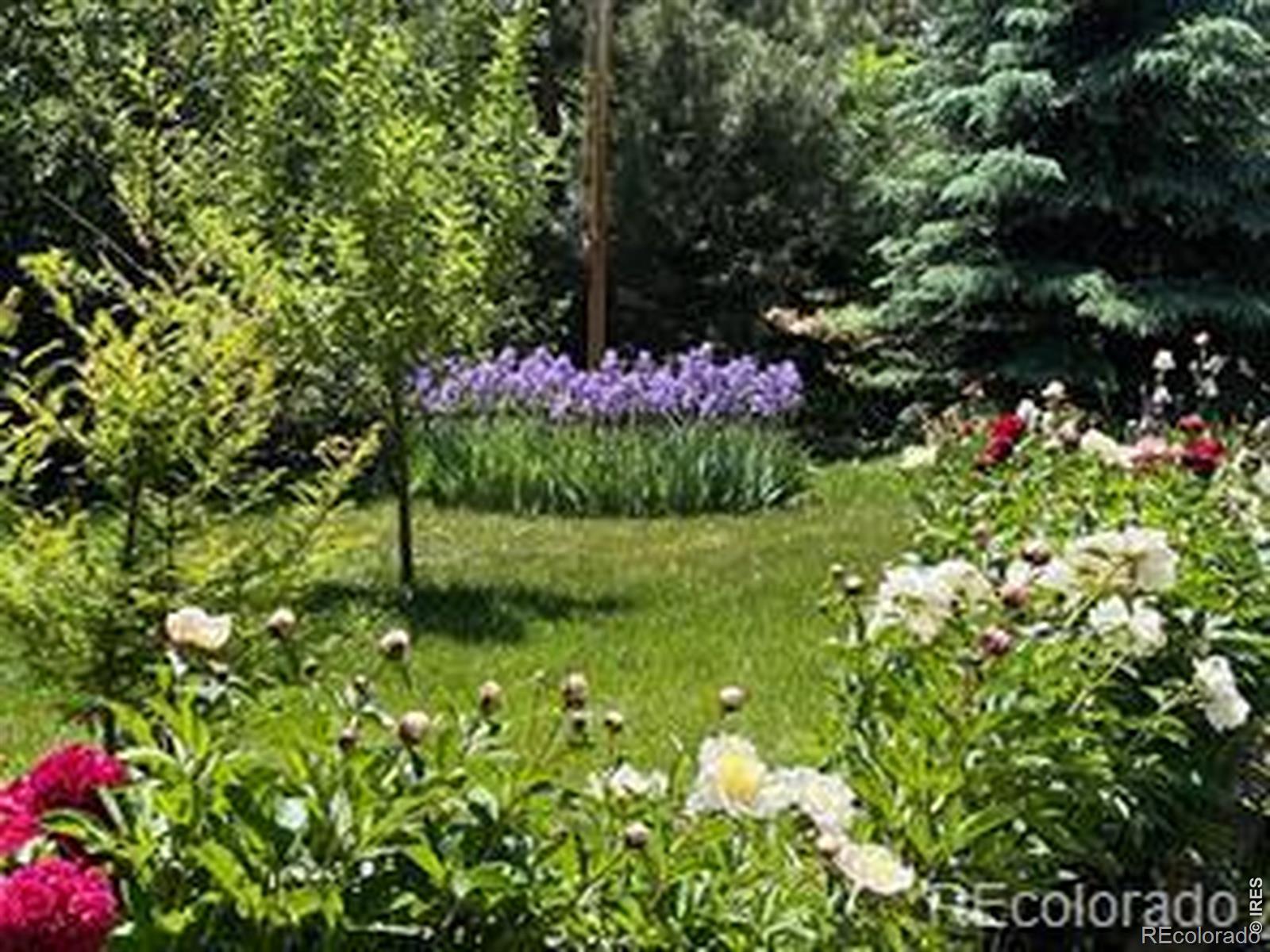 MLS Image #1 for 2020  highway 42 ,louisville, Colorado