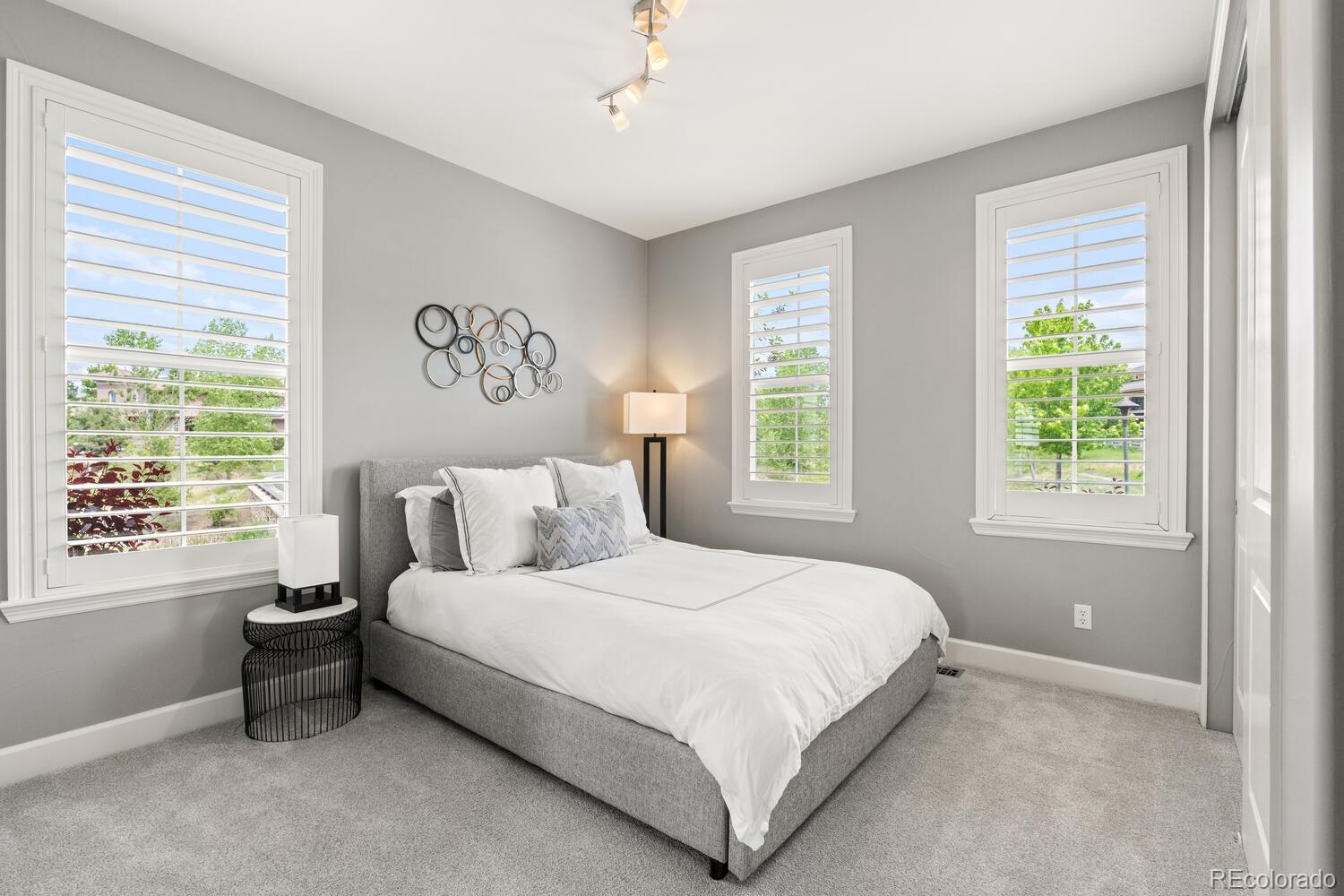 MLS Image #6 for 237  maplehurst drive,highlands ranch, Colorado