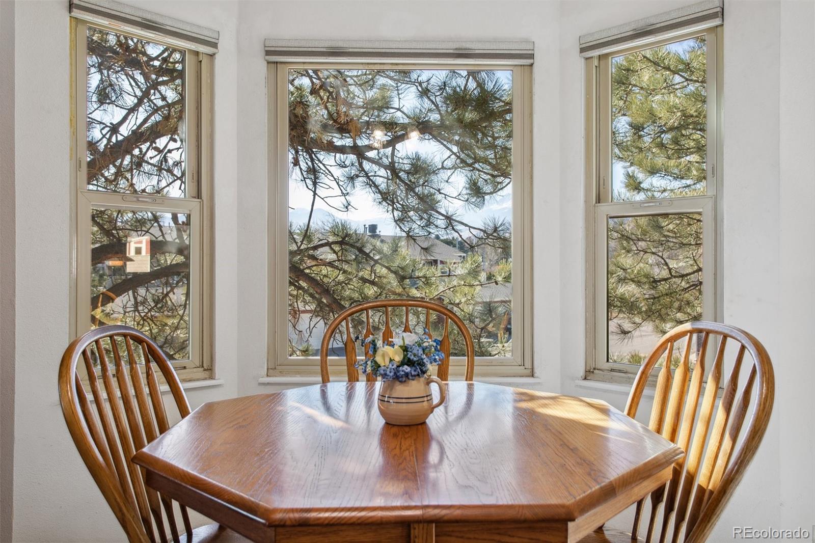 MLS Image #8 for 432 w rockrimmon boulevard,colorado springs, Colorado