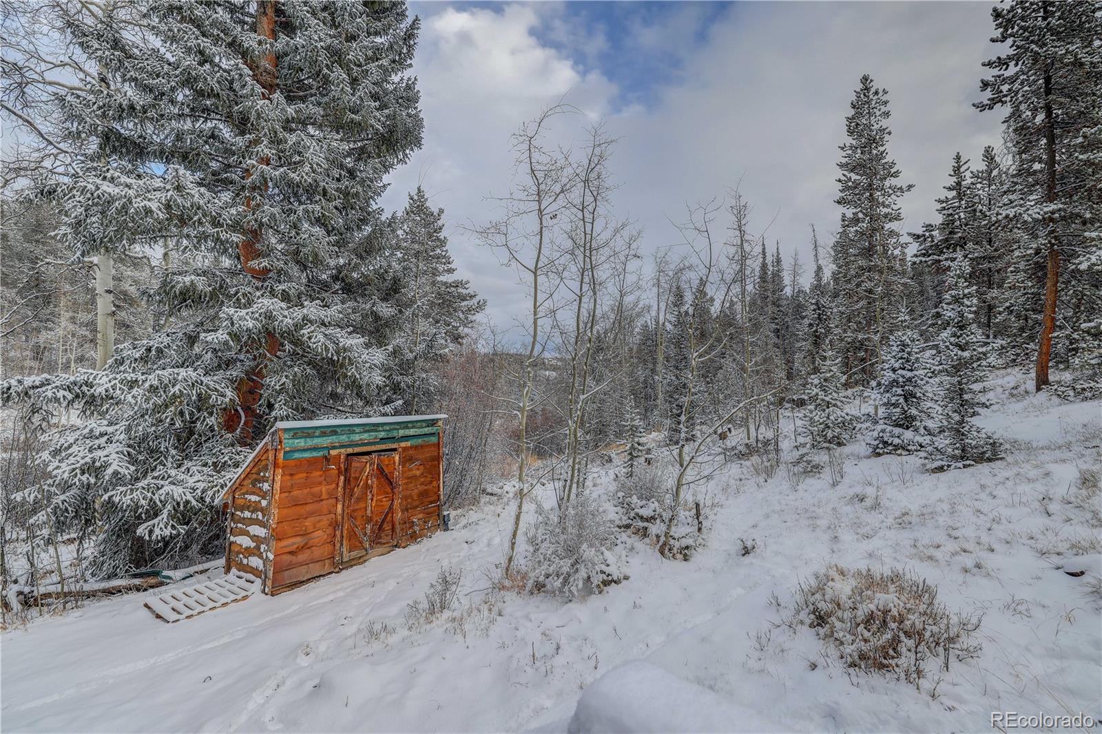MLS Image #40 for 2222  lions lane ,tabernash, Colorado