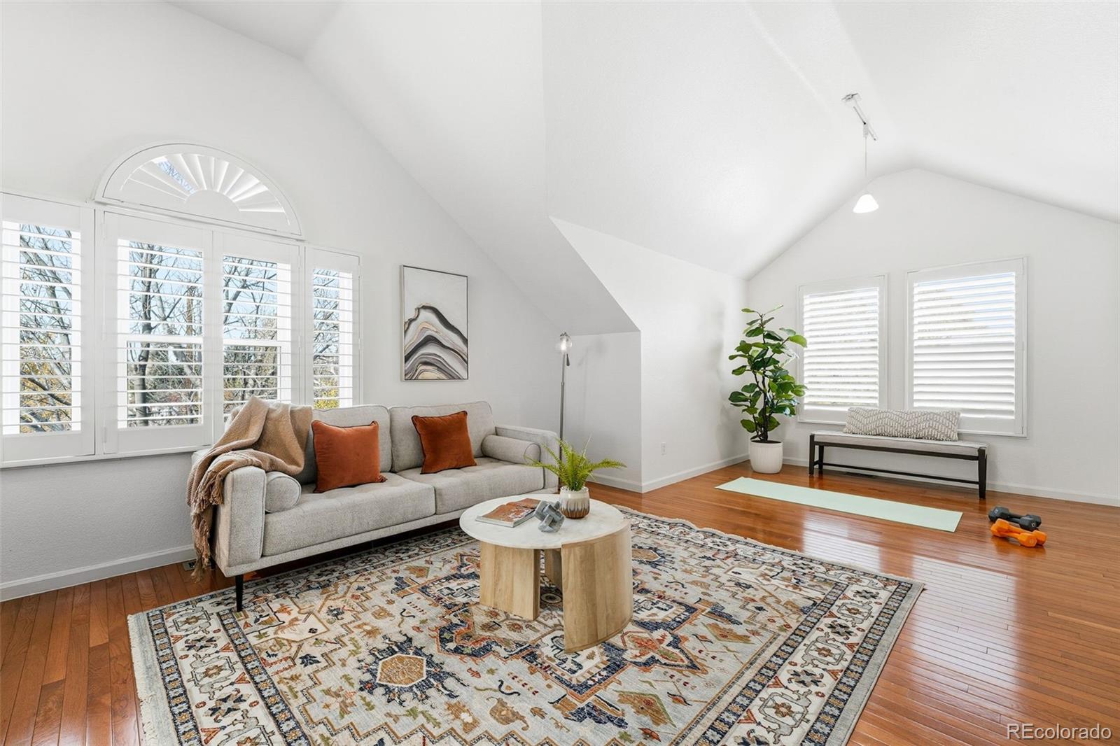 MLS Image #18 for 918  ivanhoe street,denver, Colorado