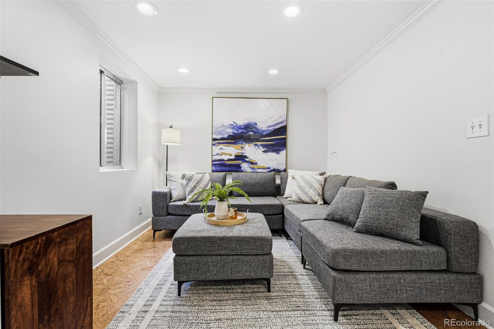 MLS Image #20 for 918  ivanhoe street,denver, Colorado