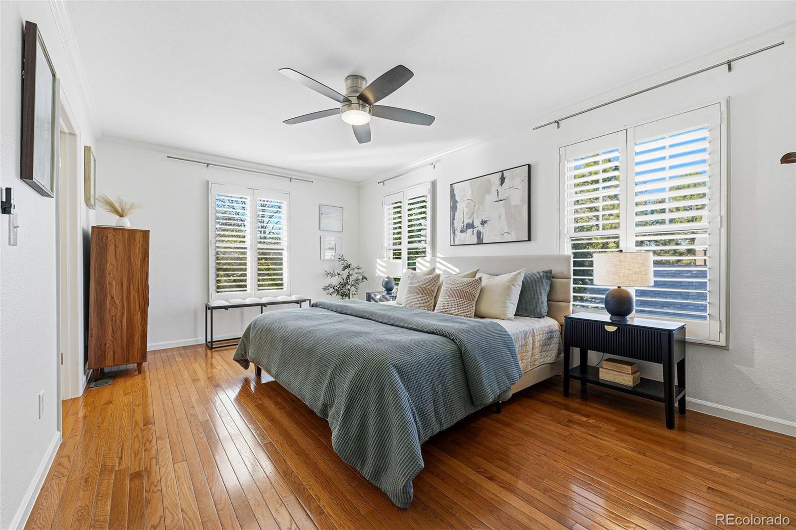 MLS Image #7 for 918  ivanhoe street,denver, Colorado