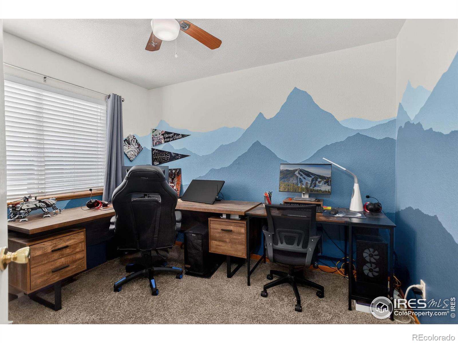 MLS Image #19 for 1506  peacock place,loveland, Colorado
