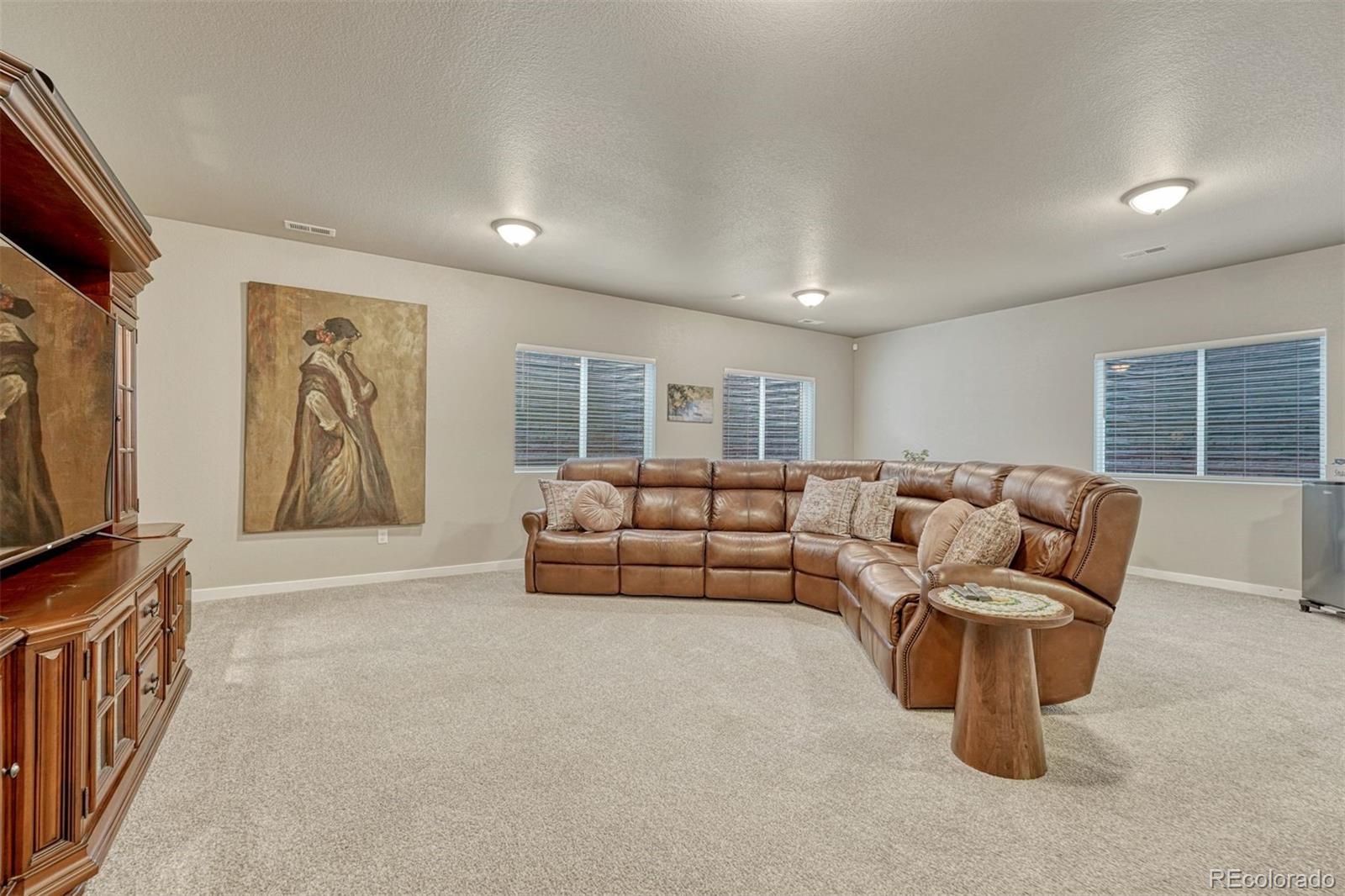MLS Image #29 for 6851  mustang rim drive,colorado springs, Colorado