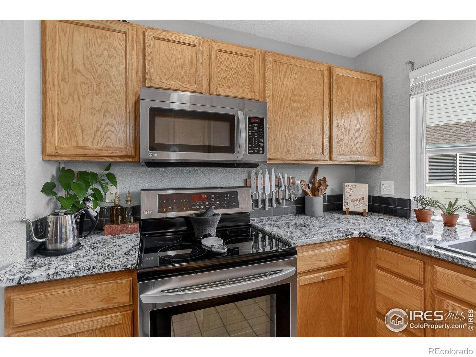 MLS Image #11 for 5225  white willow drive,fort collins, Colorado