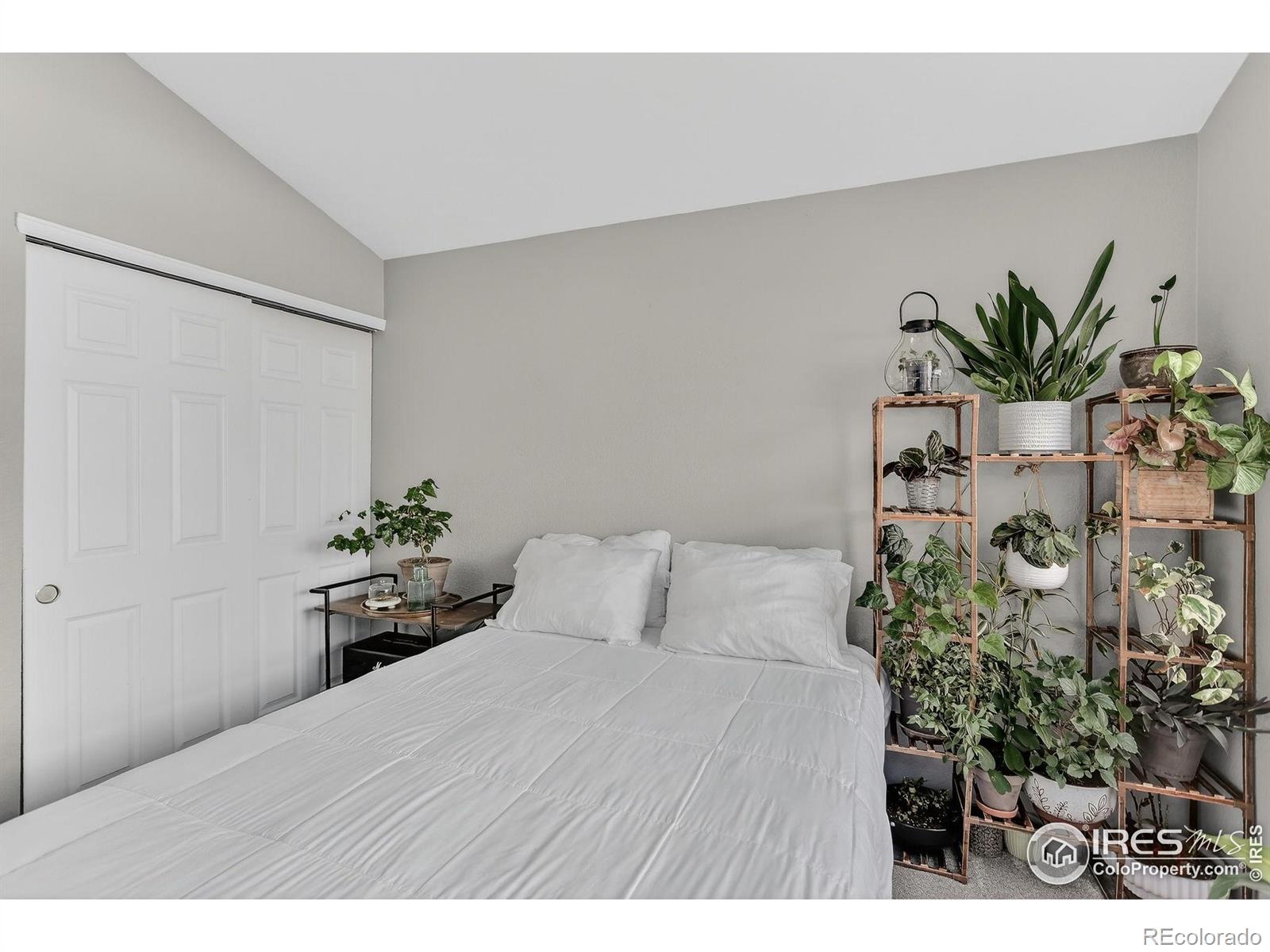 MLS Image #19 for 5225  white willow drive,fort collins, Colorado