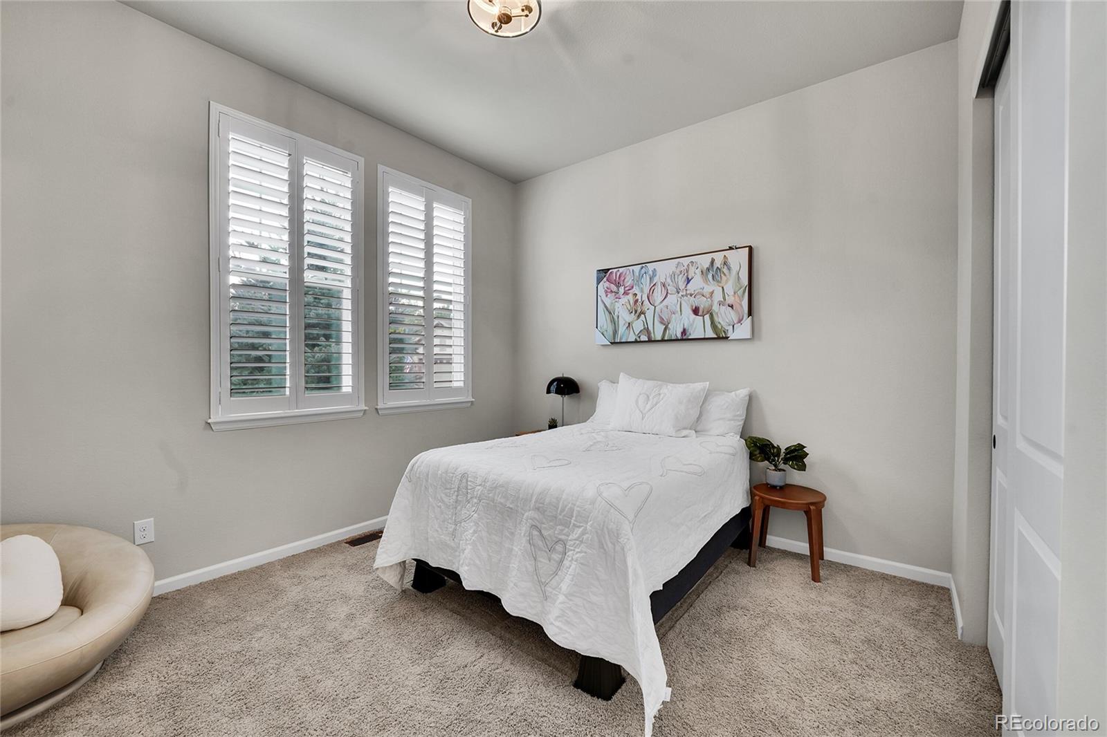 MLS Image #14 for 3429  goodyear street,castle rock, Colorado