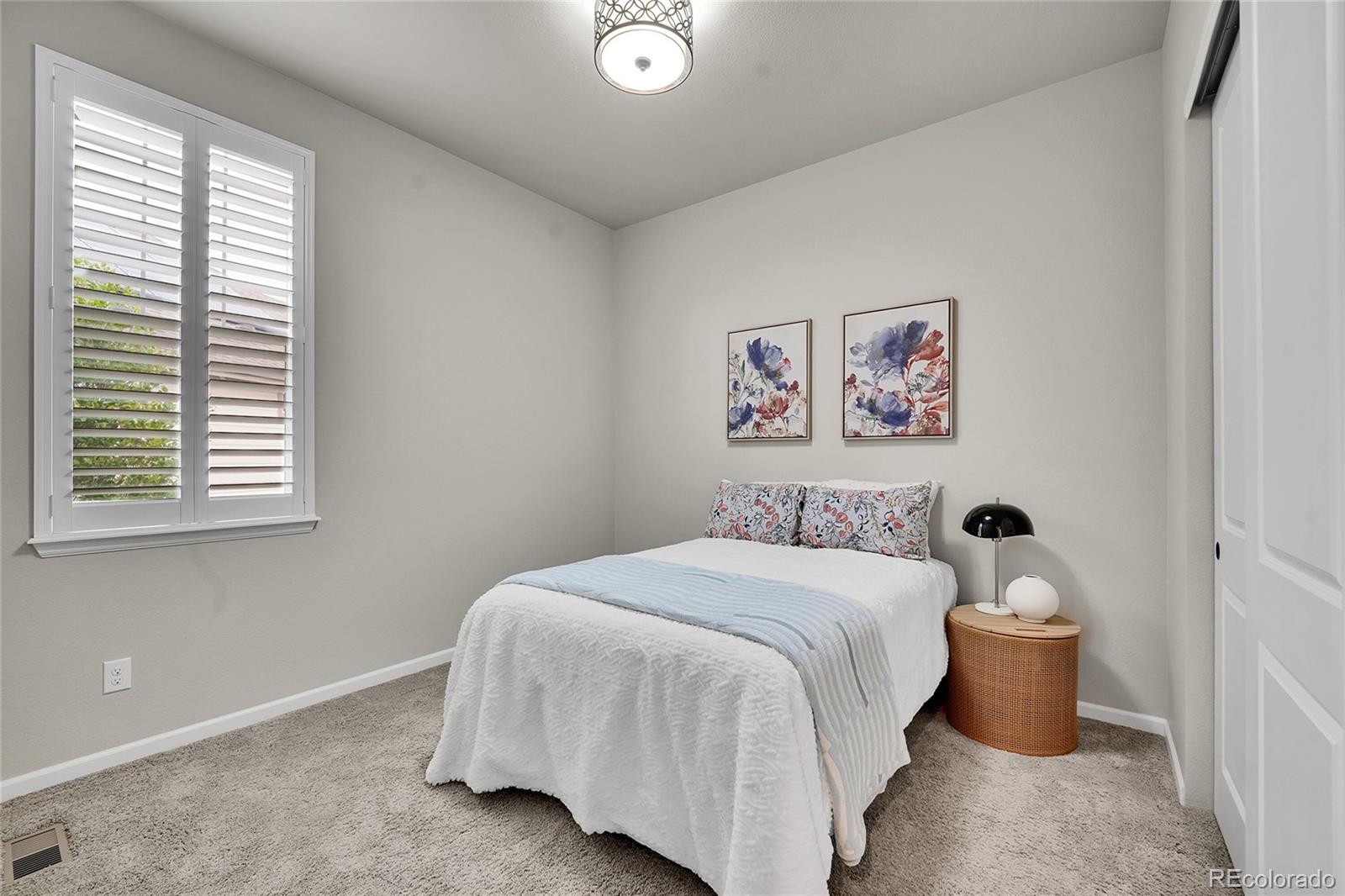 MLS Image #15 for 3429  goodyear street,castle rock, Colorado