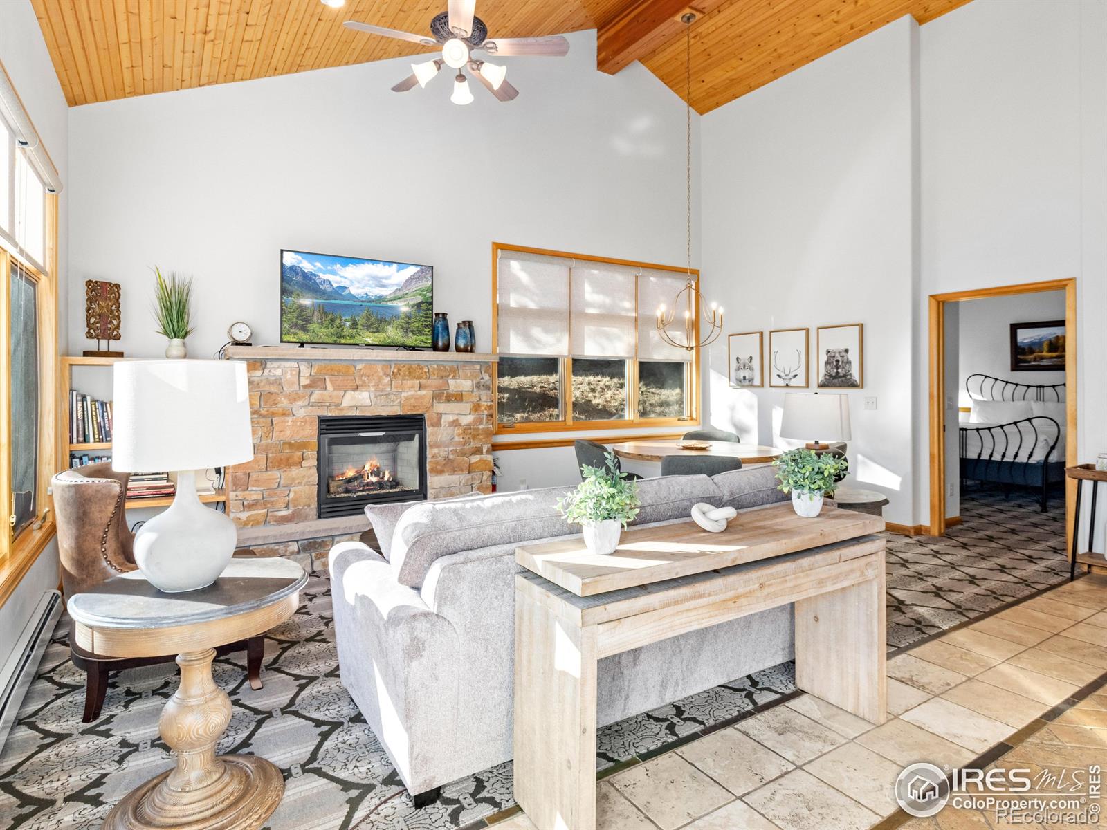 MLS Image #10 for 321  overlook court,estes park, Colorado