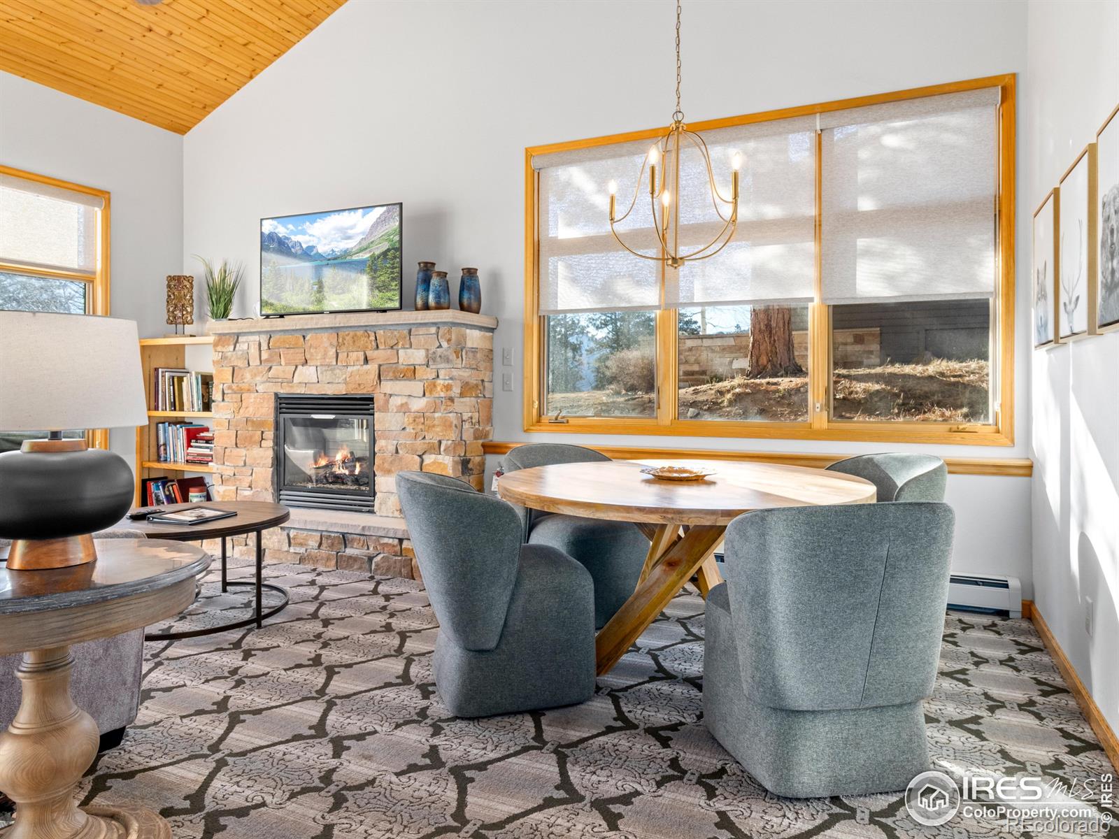 MLS Image #11 for 321  overlook court,estes park, Colorado