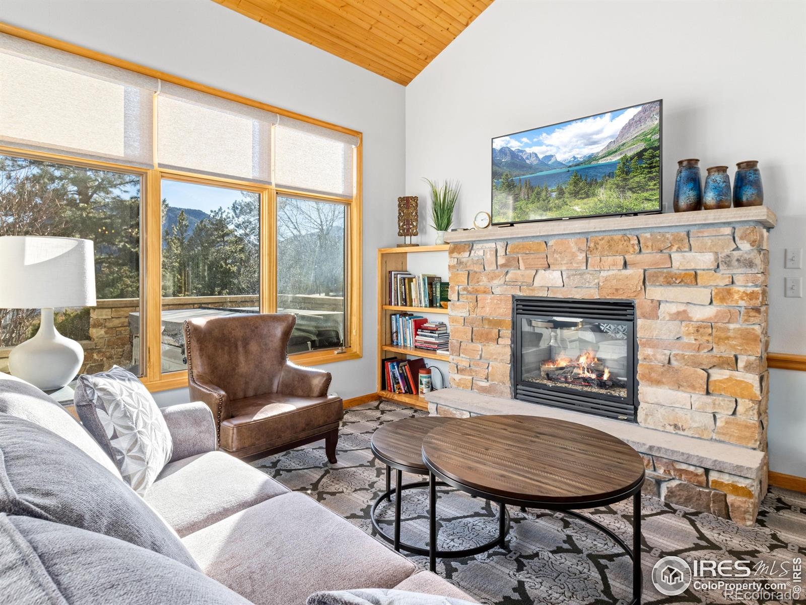 MLS Image #12 for 321  overlook court,estes park, Colorado