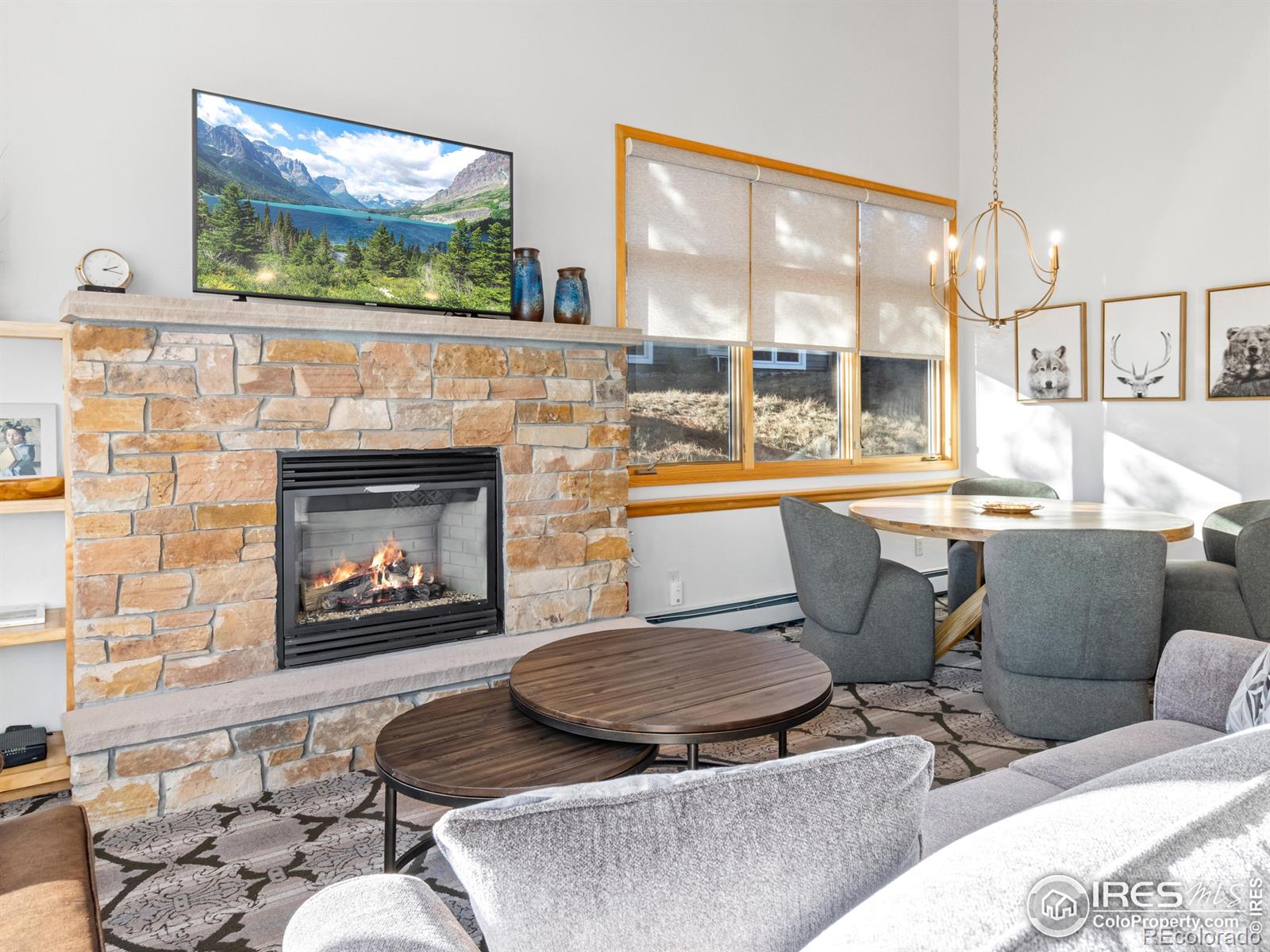 MLS Image #14 for 321  overlook court,estes park, Colorado