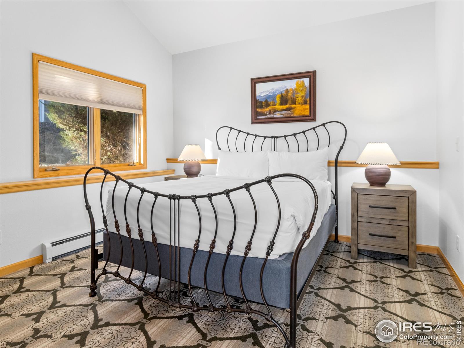 MLS Image #20 for 321  overlook court,estes park, Colorado