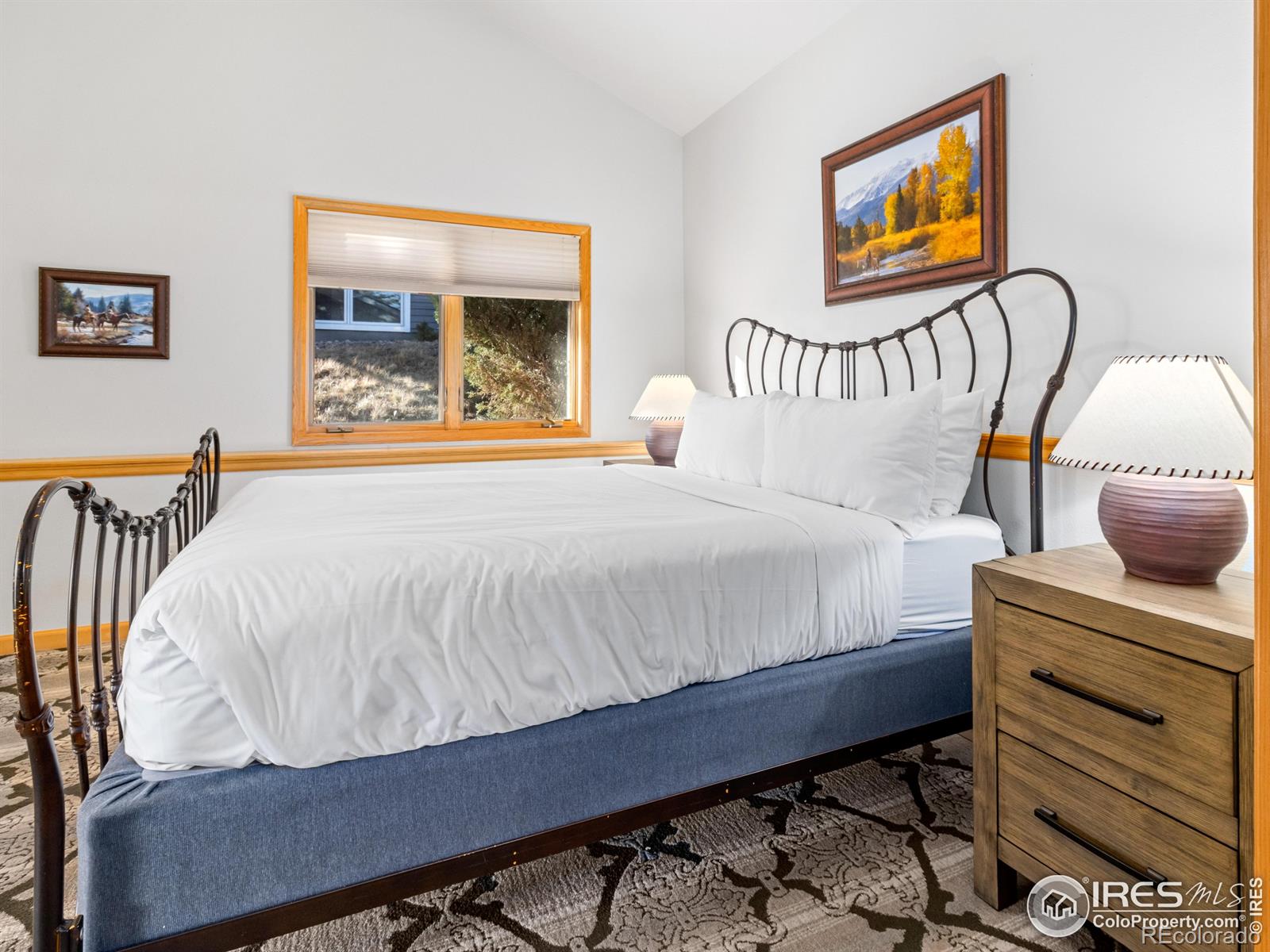 MLS Image #22 for 321  overlook court,estes park, Colorado