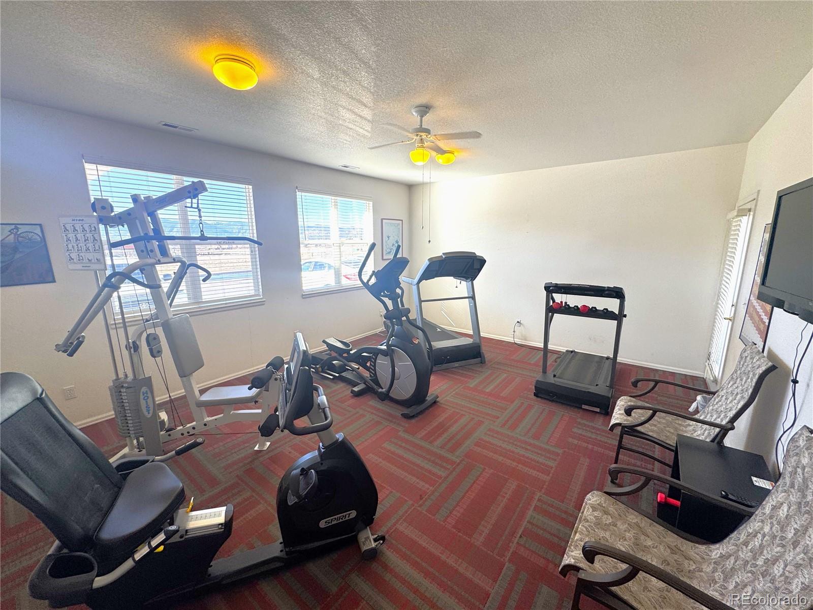 MLS Image #42 for 1231  villa grove,monument, Colorado