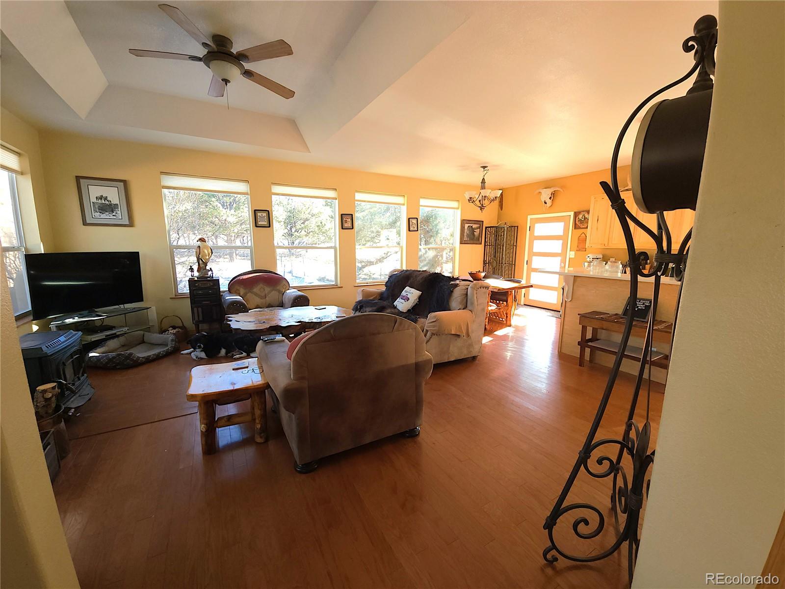 MLS Image #15 for 323  holiday overlook circle,crestone, Colorado