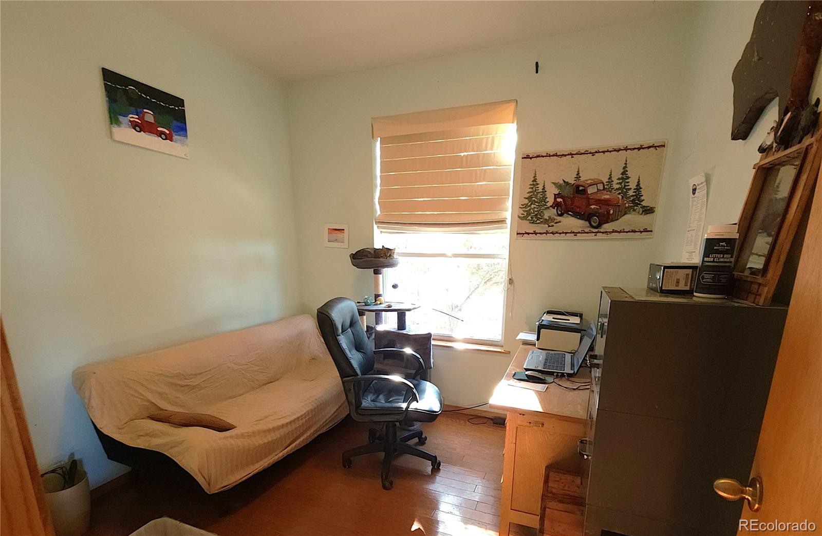 MLS Image #19 for 323  holiday overlook circle,crestone, Colorado