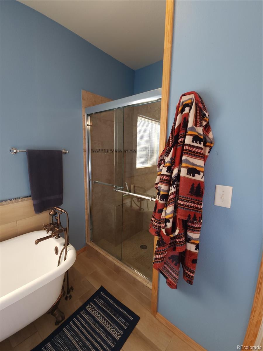 MLS Image #2 for 323  holiday overlook circle,crestone, Colorado
