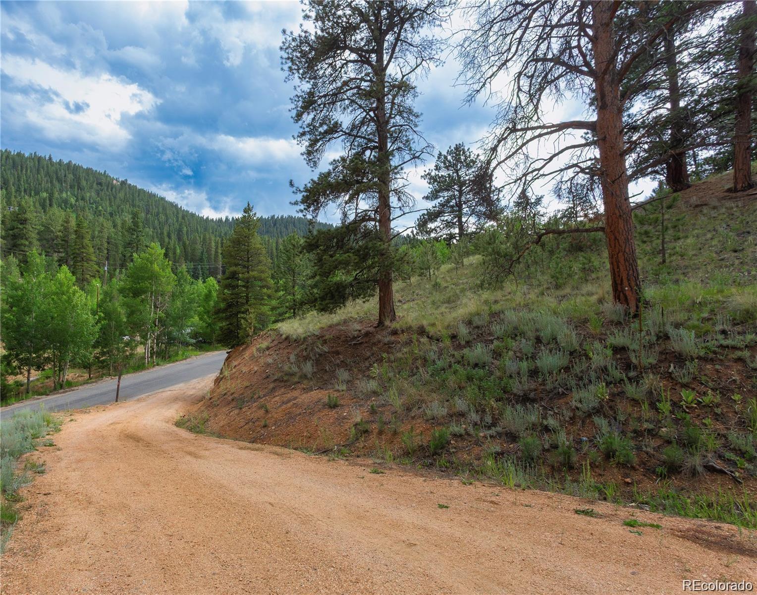 MLS Image #19 for 1555  shelton drive,bailey, Colorado