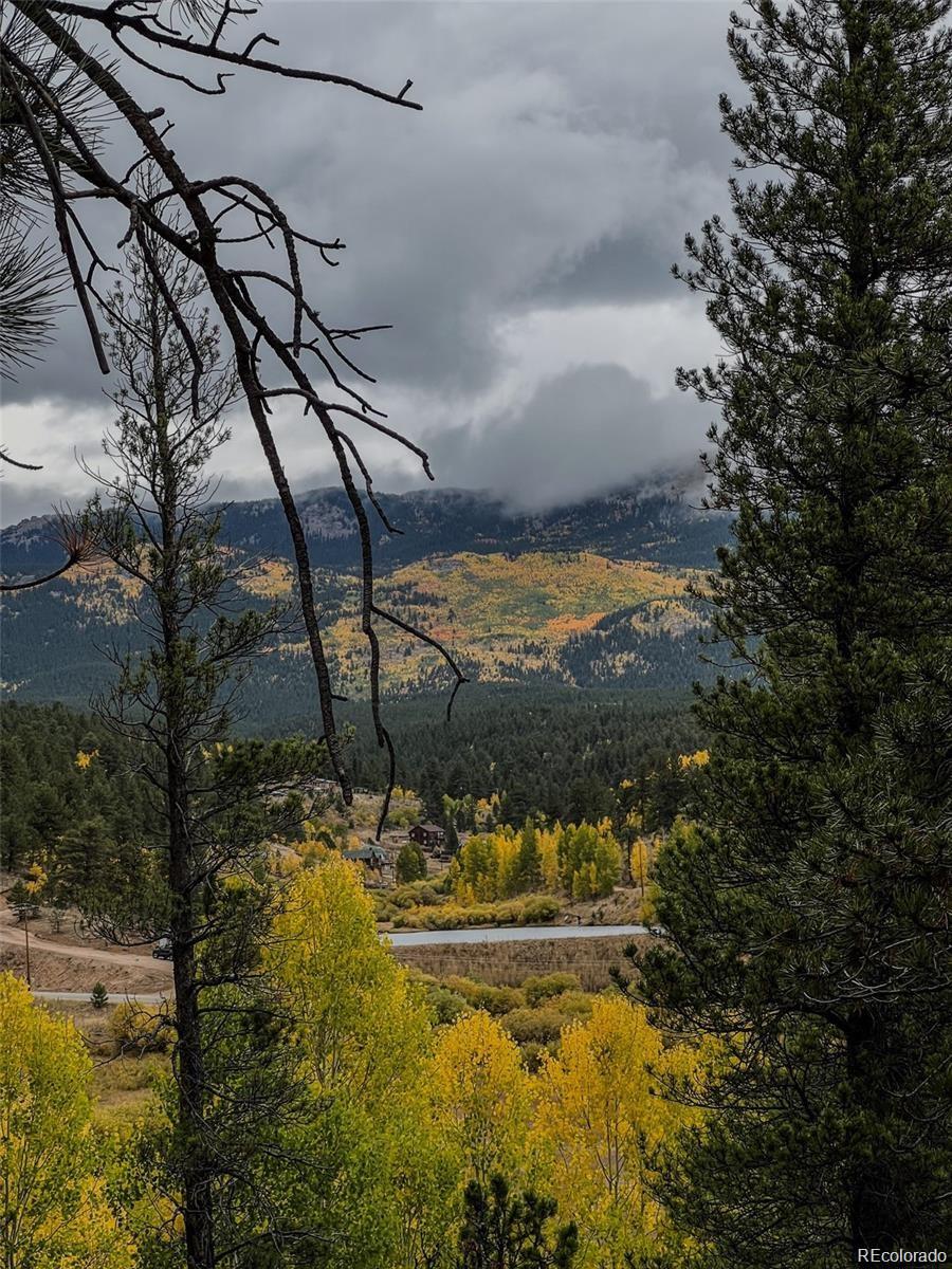 MLS Image #23 for 1555  shelton drive,bailey, Colorado