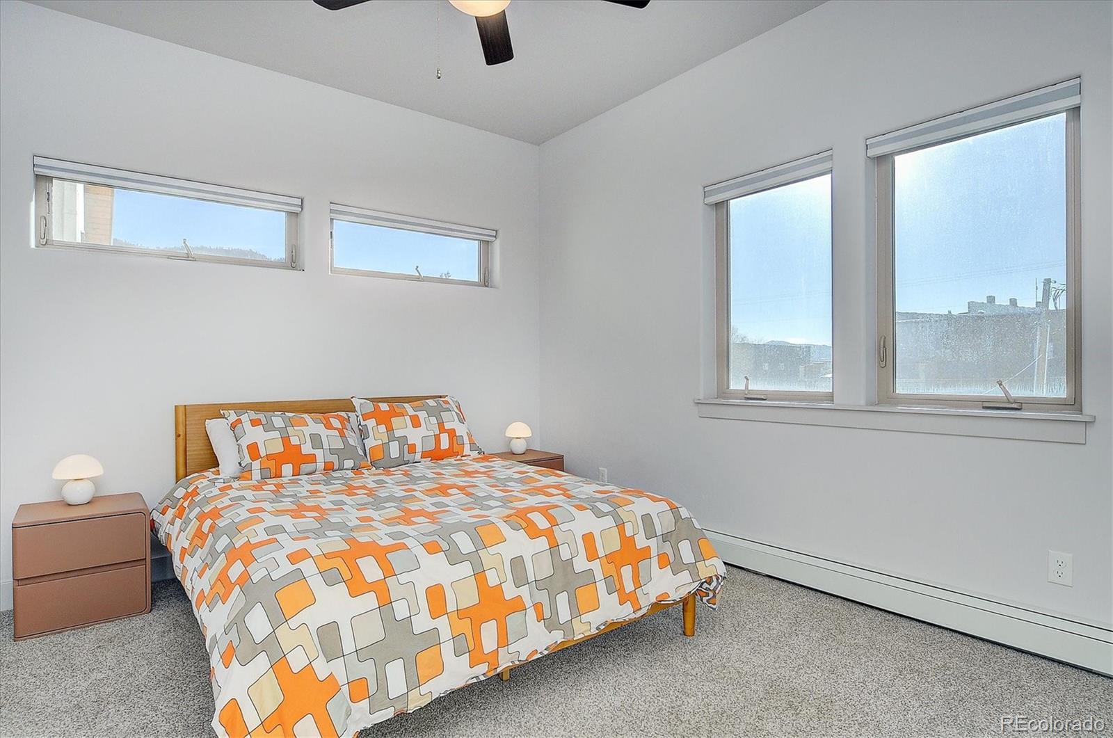 MLS Image #19 for 307  chestnut street,buena vista, Colorado
