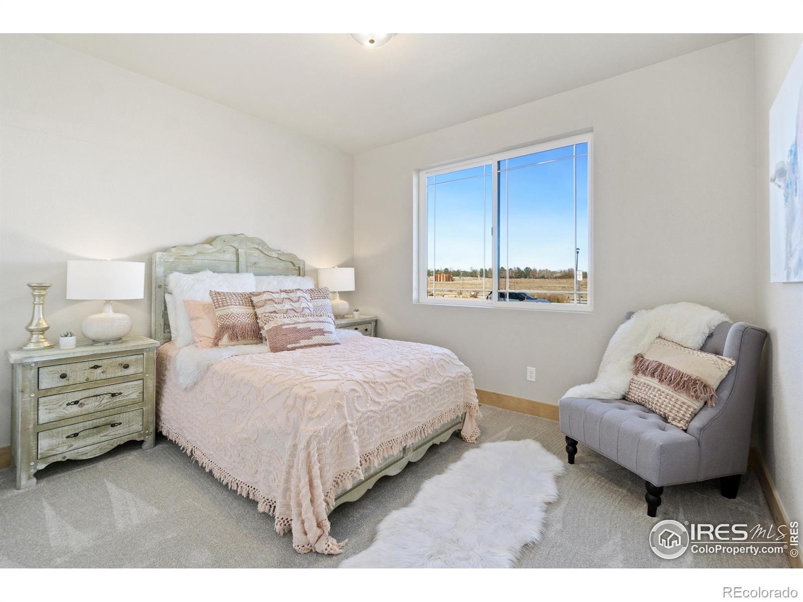 MLS Image #19 for 2033  morningstar way,fort collins, Colorado