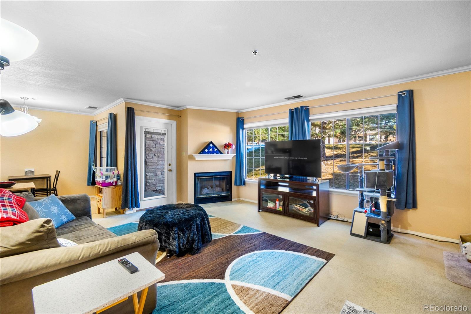 MLS Image #4 for 2170  alicia point,colorado springs, Colorado